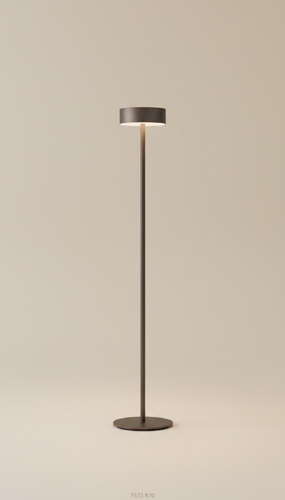 Minimalist smoked bronze floor lamp, 3/4 angle as default for product portraits—captures dimensionality and material...