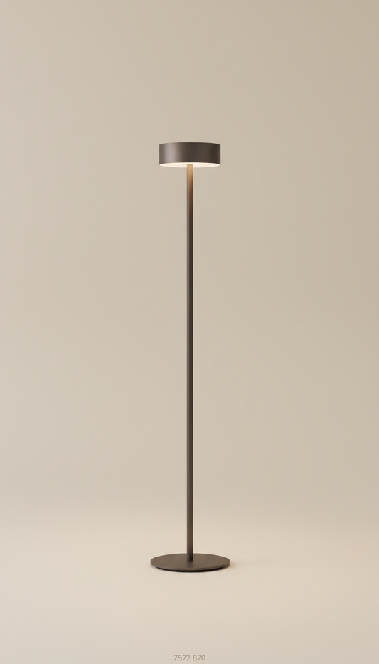 Minimalist smoked bronze floor lamp, 3/4 angle as default for product portraits—captures dimensionality and material...
